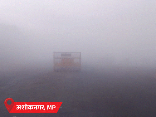 MP में भीषण कोहरा, 50m दूर देखना मुश्किल:यूपी में 4 दिनों में 110 ‌गाड़ियां टकराईं; राजस्थान के 20 शहरों में तापमान 10° से कम
