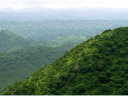 अरावली में नई खानों पर रोक, पुरानी पर बढ़ेगी सख्ती:केंद्र के सभी राज्यों को निर्देश; गहलोत बोले- इसमें कुछ भी नया नहीं