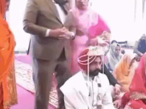 दूल्हे के सेहरे पर जीजा-फूफा में धक्कामुक्की,VIDEO:पटियाला में एक-दूसरे से भिड़े, हंगामा देख रोई दुल्हन; दूल्हा बोला-शादी खराब की